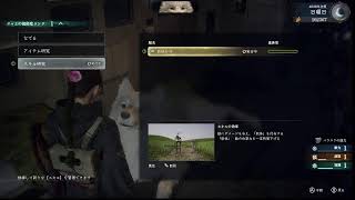 【序盤だけやる】話題のパリイゲーで遊ぶ【Beast Of Reincarnation】