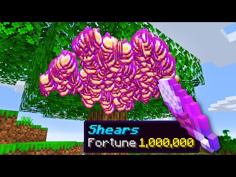 Minecraft, But I Can Fortune Anything...