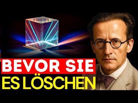 Erwin Schrödingers REDE wird dich sprachlos machen – sieh sie dir an, bevor sie GELÖSCHT wird!
