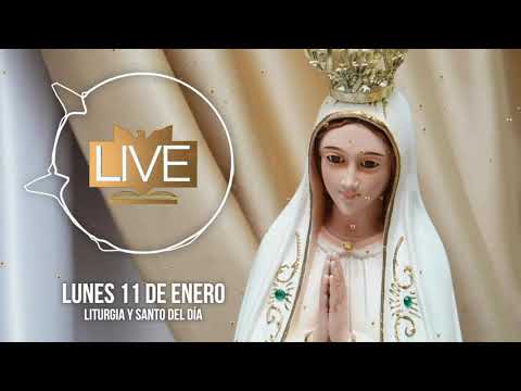 Liturgia y Santo del Día (Lunes 11 de Enero) - Padre Bernardo Moncada