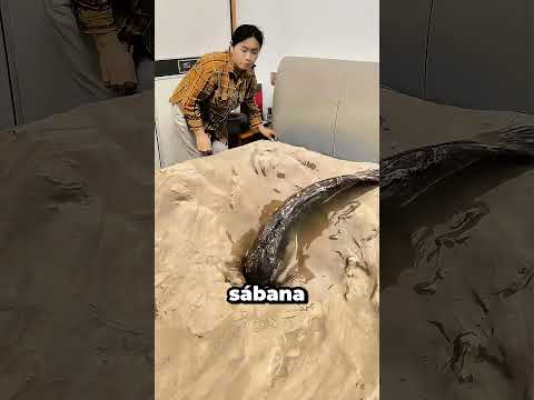 ¡La sábana está maldita! 🐟😱