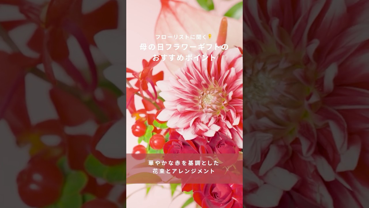 【王道の赤】母の日に贈りたい、赤いお花のギフトをご紹介💐