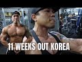SOLID PUMP BASAG | 11 WEEKS OUT AGP KOREA | CONDITION CHECK | 100% IM BACK @Nur Irfan Physique