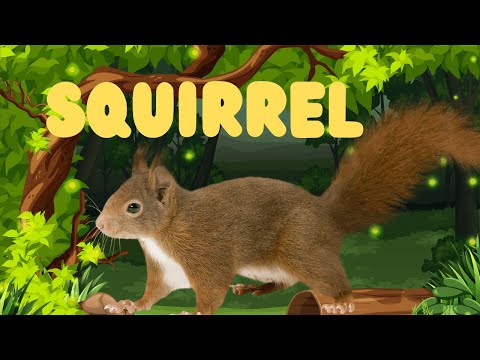 Squirrel Facts For Kids | Amazing Squirrels for Kids: Fun Facts, Adventures, and Cute Antics 🐿️