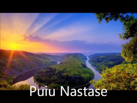 Puiu Nastase -dar poate va veni o zi -subscribe my channel-@PuiuNastaseRo