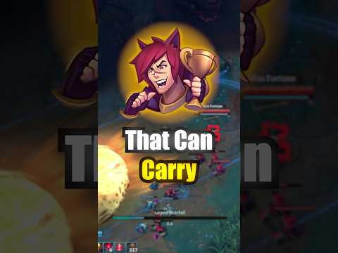 Supports That Can Carry !