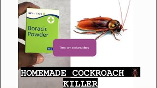 The best homemade cockroach killer | |how to get rid of cockroaches ||South African youtuber