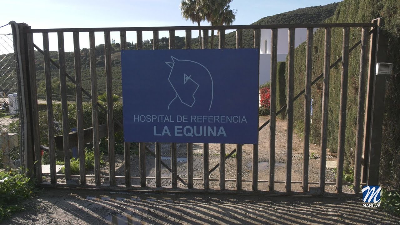 Manilva será sede internacional de formación equina