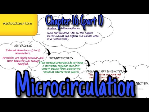 Microcirculation. Chapter 16 (part 1). Guyton and Hall Physiology.
