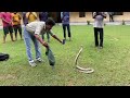 Snake Found In IIT Kharagpur HJB Hall
