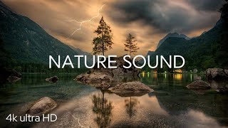 Feel The Calm | Nature Sounds & Views 🌿 - 4 K video ultra HD