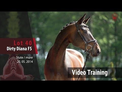 40 Dirty Diana FS Stute v. Diarado - Balou du Rouet_Trainingsvideo