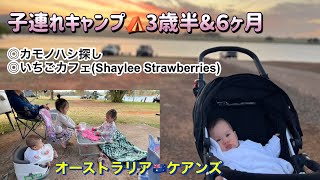 1日遊べたYungaburra!いちごカフェ🍓　オーストラリア|ケアンズ|国際結婚|海外で子育て