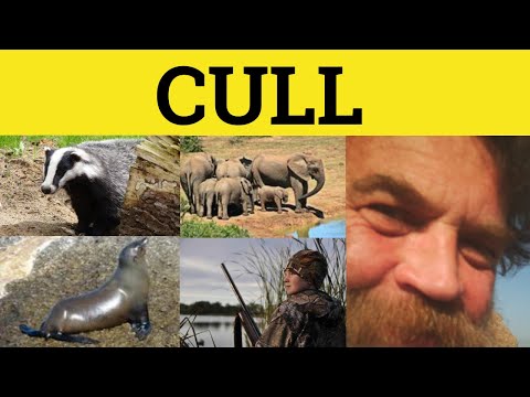 🔵 Cull Meaning - Cull Examples - Culled Defined - Cull Definition - GRE 3500 Vocabulary - Cull