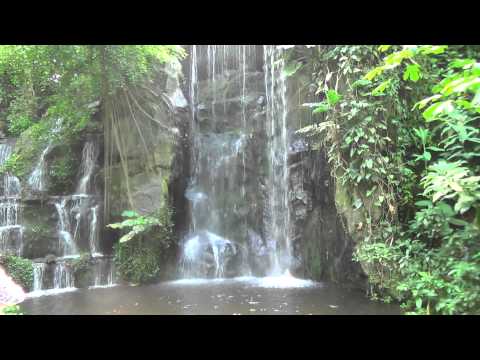 VerVer & B-Art | Going Bananas