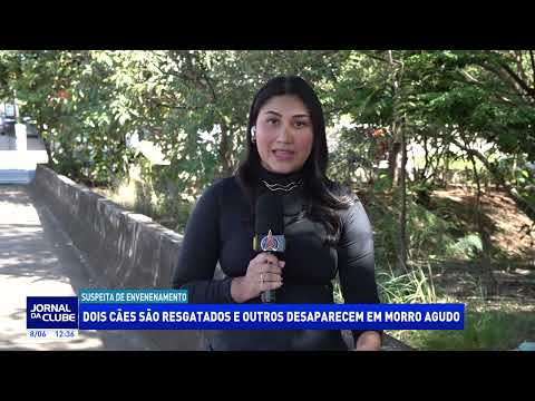 Dois cães são resgatados e outros desaparecem em Morro Agudo - Jornal da Clube (08/06/26)