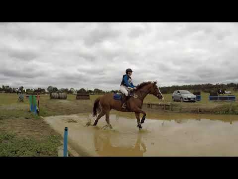 Rider 95 Madison Shepherd Riding POLLY PERFECT EvA 65 Div 1 Monarto Horse Trials 2020