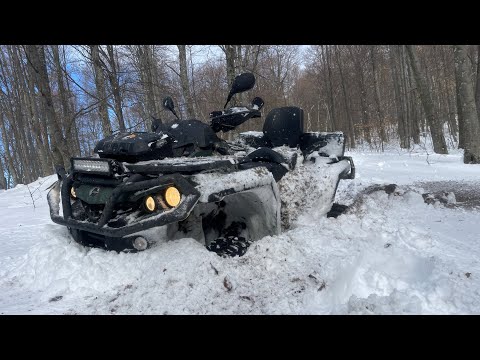 ATV 🏔 Muntii Codru Moma 🦌 Zooparc Green Codru 📍 Bihor 📍 30 Ianuarie 2022