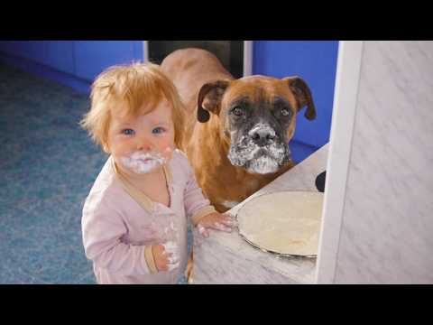 When Animals Become Babysitters ❤️ Funniest & Cutest Moments Ever