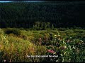 Hazlett Shiver Official Lyric Video