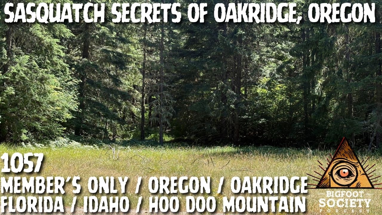 What Happened Seven Miles Up Salmon Creek in Oakridge, Oregon | MEMBERS ONLY PREVIEW