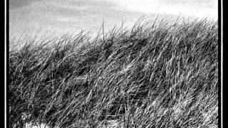 Cindytalk - For The Benefit Of All