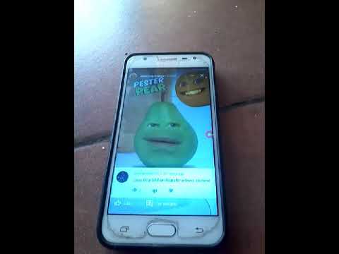 Pester orange #2 pester pear #17