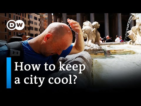 Beating the heat: How can we keep cities cool? | DW News
