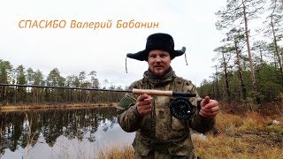 Ссылка