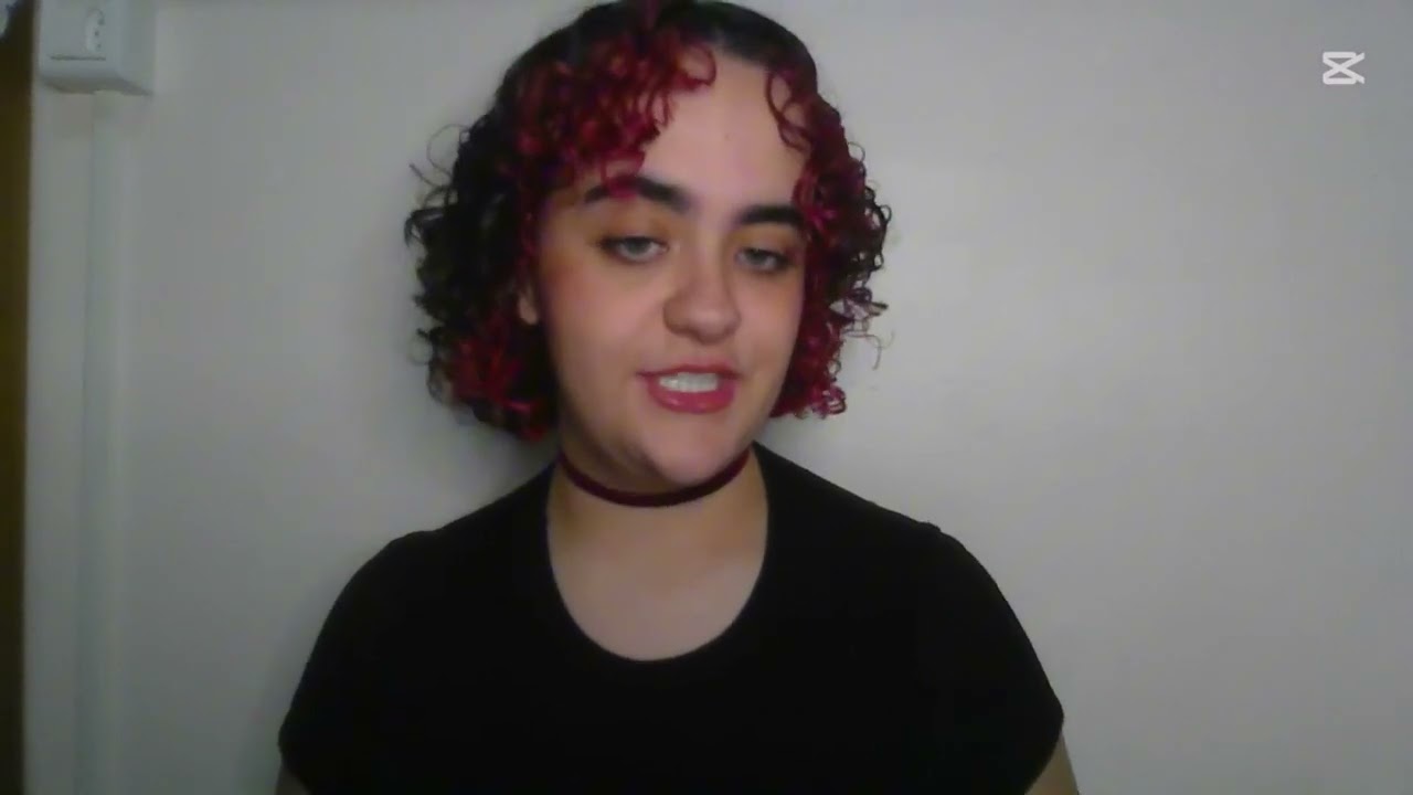 A paradiplomacia indígena e o Quarto mundo