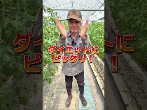 持続可能な農業