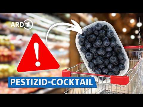Video Thumbnail: Importierte Heidelbeeren im Test: Pestizide, Schimmel, Vitamine | Markt NDR
