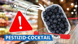 Importierte Heidelbeeren im Test: Pestizide, Schimmel, Vitamine | Markt NDR
