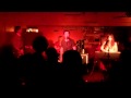 Summer Cats--Lonely Planet