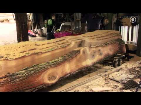 Die Sendung mit der Maus: Ein Baum (Teil 2)