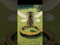 Magic Buetyful Buterfly Dancing Cool Ceremony Opening Performance Anime Magic Performence