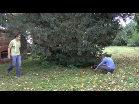 Krecik - film Zuzia-Paulina-Mateusz