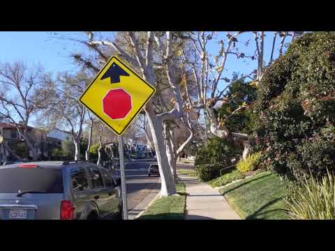 Beautiful Neighborhood near UCLA, University of California, Los Angeles. Street View around Campus
