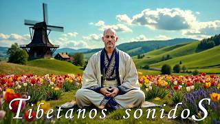 Tibetan Zen Sounds, Deep Nervous System Reset, Eliminates Stress And Anxiety