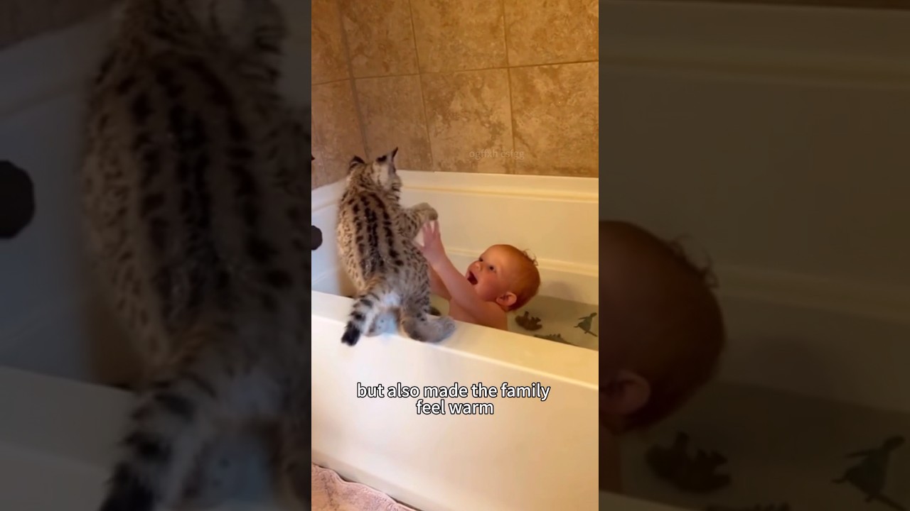 #healing #rescue #animalshorts #cute #shortvideo #shorts