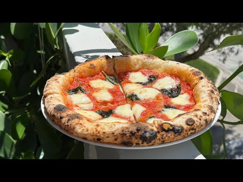 Easy Sourdough Neapolitan Pizza Dough