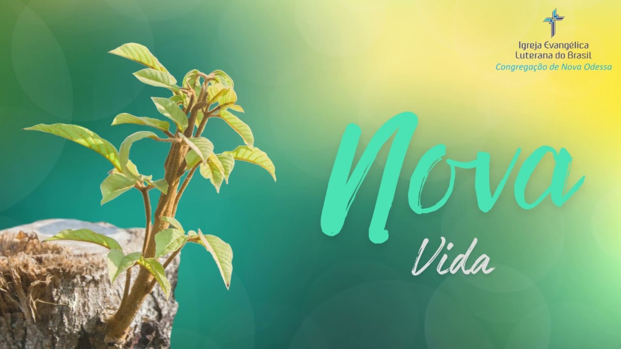 Nova Vida 17 de Dezembro de 2024 – Descansando nos braços de Jesus