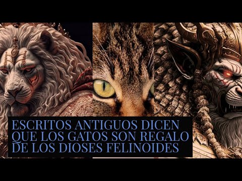 LOS GATOS,REGALO DE LOS DIOSES FELINOIDES ,URMAH