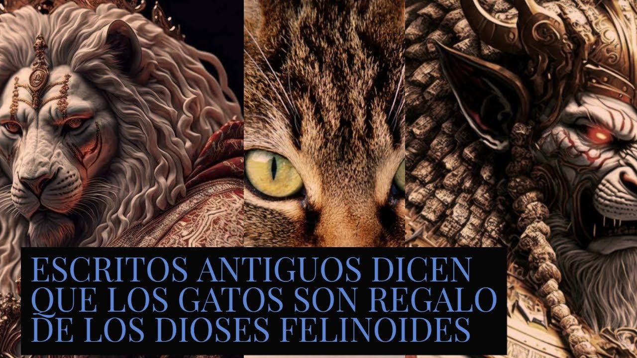 LOS GATOS,REGALO DE LOS DIOSES FELINOIDES ,URMAH