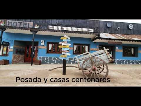 Mis raíces- Silvia Daniela Suárez