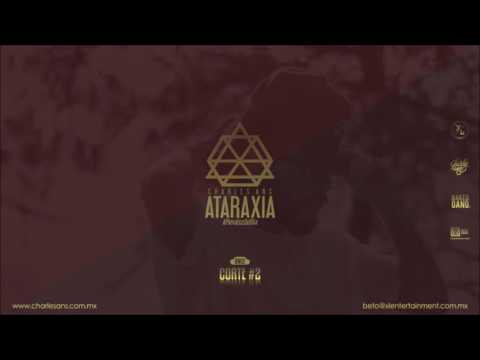 11.- CORTE #2 / CHARLES ANS