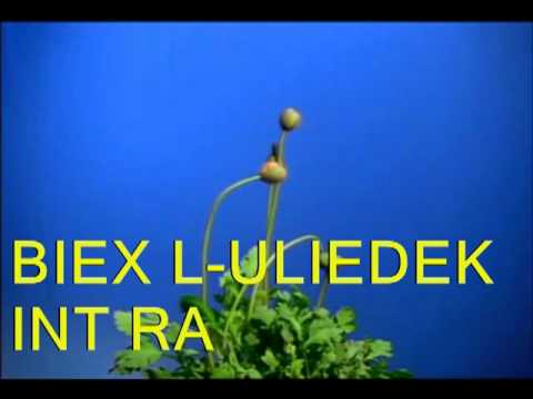 MALTA ENZO GUSMAN   GHALIK GHAZIZA OMMI MOTHER'S DAY 2011