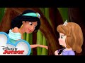 Princess Sofia The First Meets Disney Aladdin S Princess Jasmine Sofia The First Disneyjr