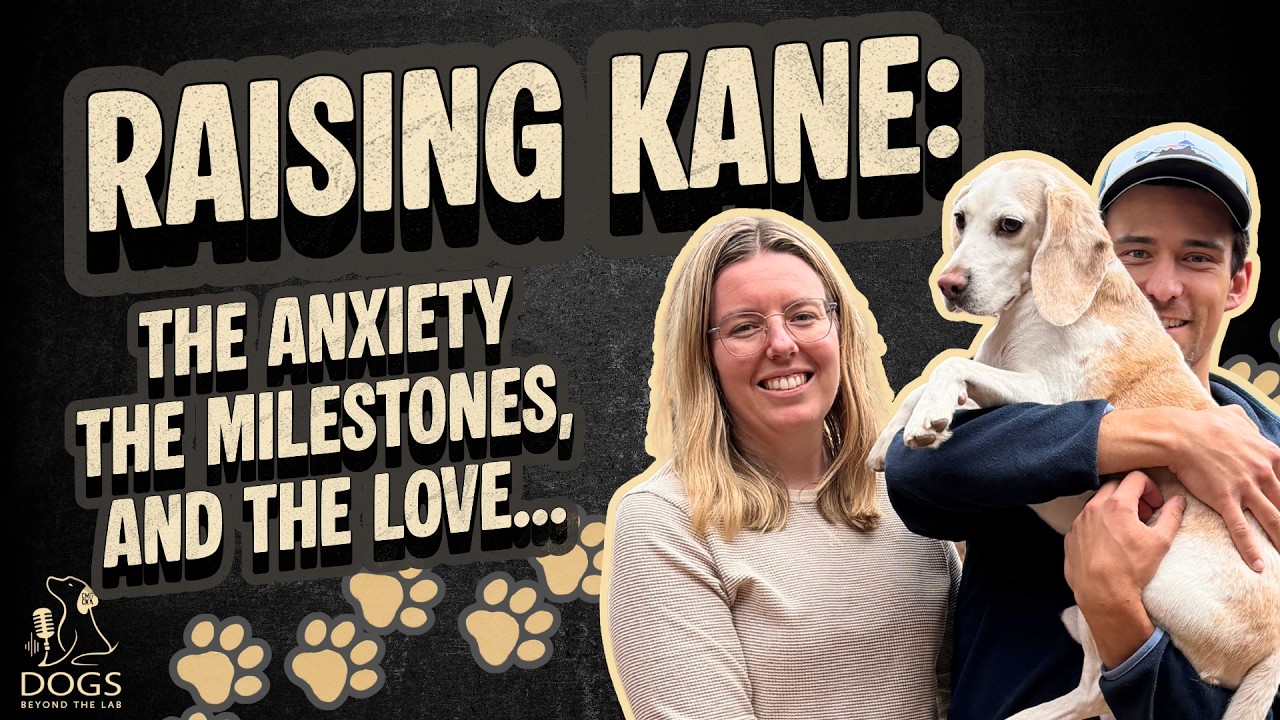 Raising Kane: the Anxiety the Milestones, and the Love…