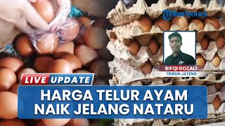 Pedagang Kecil Terdampak! Harga Telur Ayam di Kudus Naik Signifikan Jelang Libur Nataru